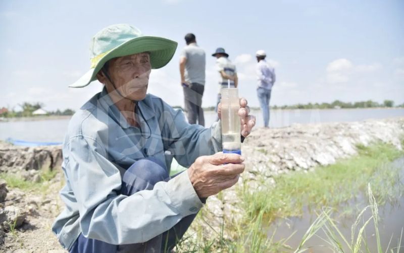 Giữ vuông tôm mùa nắng nóng: Kỹ thuật quản lý ao nuôi và giải pháp thực tế từ vùng U Minh Thượng